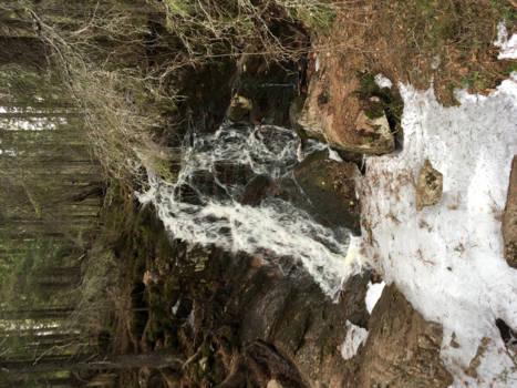Vancouver Island - Zweden tussen winter en zomer