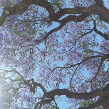 Vancouver - Hemels mooi