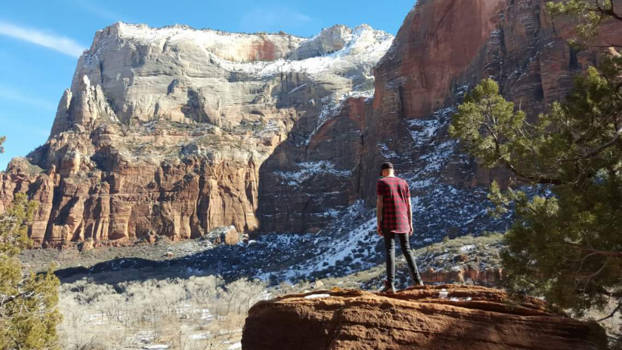 Grand Canyon - Zion national park / USA