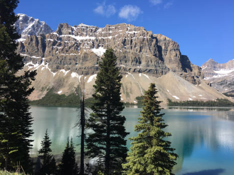 Jasper National Park - From Banff to Jasper - the amazing icefield parkway