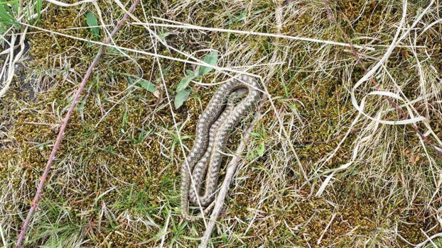 Niagara Falls - De perfecte schudkleur. Reizen in eigen land. Nu nog graag naar het buitenland