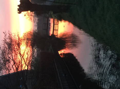 Grand Canyon - Ochtendgloren in Voorhout