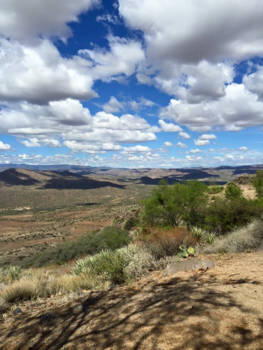 Verenigde Staten - Bumble   Bee Rest Area Arizona