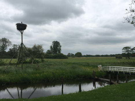 Niagara Falls - Ooievaar in Ijhorst bij de reest tijdens fietsvakantie 15 mei