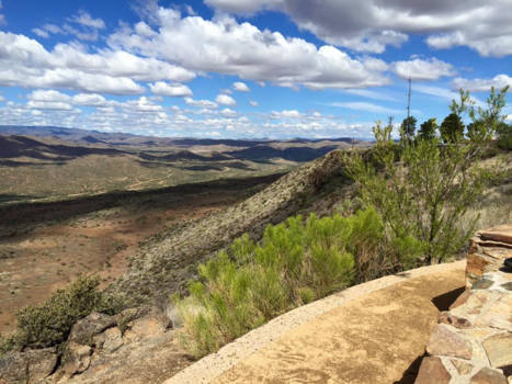 Verenigde Staten - Bumble Bee