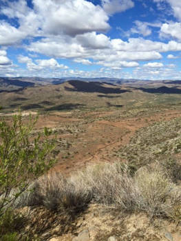 Verenigde Staten - Bumble Bre