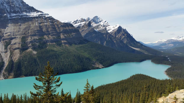 Lake Peyto - lake peyto
