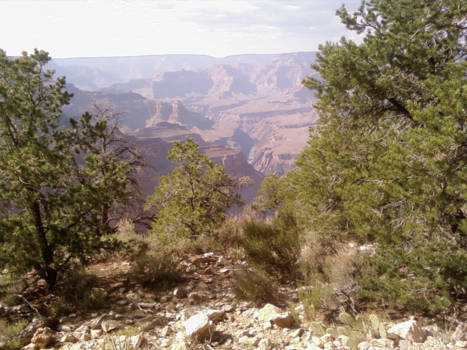 Grand Canyon - Ik zie de overkant.