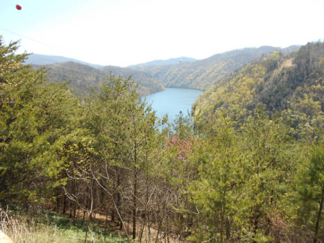 Verenigde Staten - Great Smokey Mountains