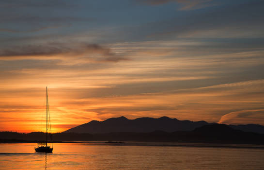 Vancouver Island - Tofino - Vancouver Island