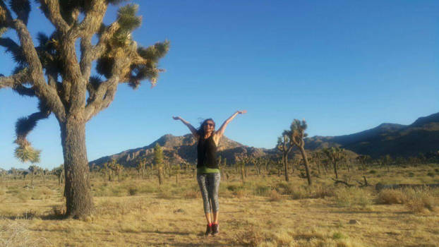 Verenigde Staten - Joshua Tree National Park