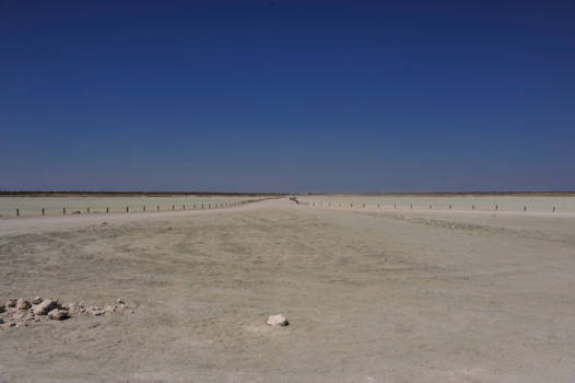 Canada - Namibie In het Licht Zout