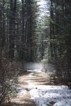 Niagara Falls - Trailwalking in Alconquin