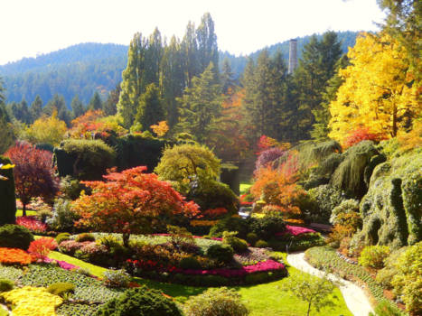 Vancouver Island - This is what we call Indian Summer, beautiful!