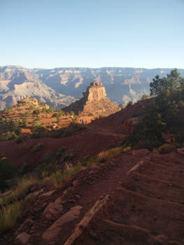 Grand Canyon - Down is optional, up is mandatory