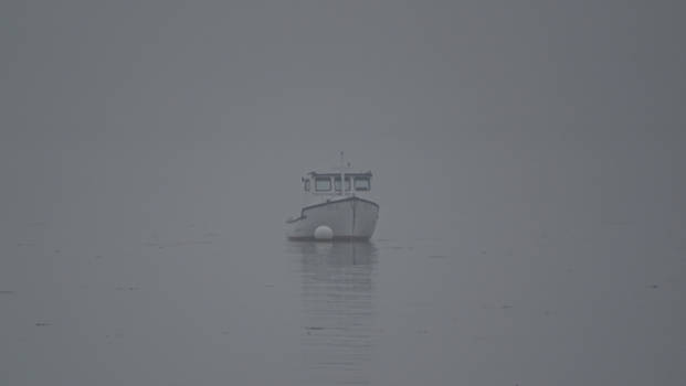 Nova Scotia - digby in de mist