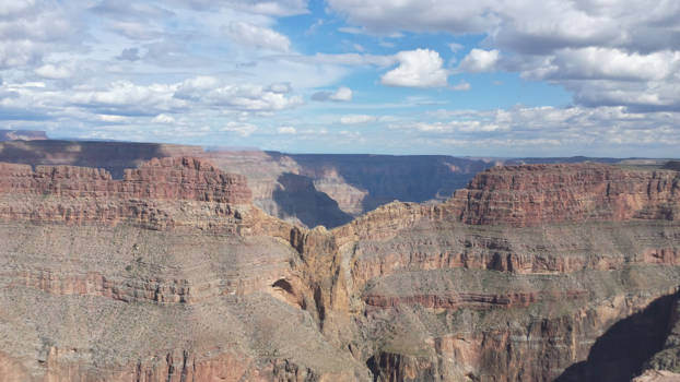 Grand Canyon - Eagle at grand canyon