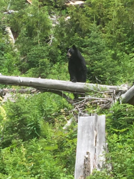 Canada - Ik sta op wacht, dat zie toch zeker wel?!?!