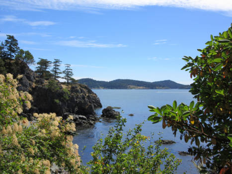 Canada - Vancouver Island, East Sooke Park