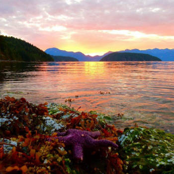 Canada - Egmont, Sunshine Coast