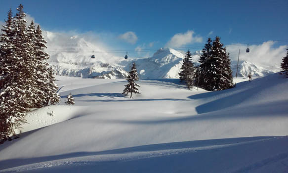 Vancouver - Winterlandschap