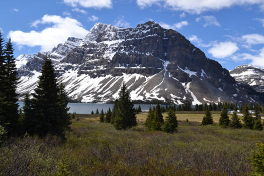 Canada - Ice Fields Parkway, tussen Jasper en Banff
