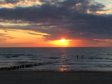 Vancouver Island - Domburg