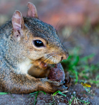 Niagara Falls - Summer meets autumn