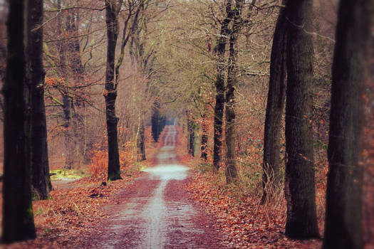 Niagara Falls - Aan het einde van de wereld.....