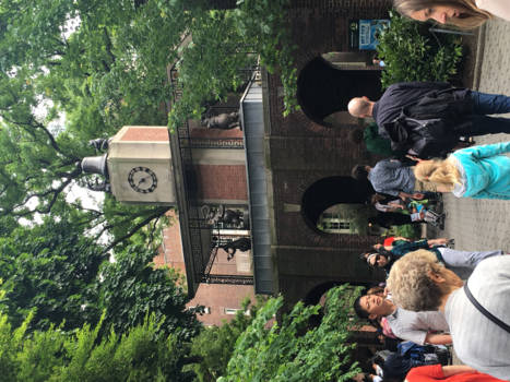 New York - Beroemdste stukje natuur in een stad: de dierentuin in central park
