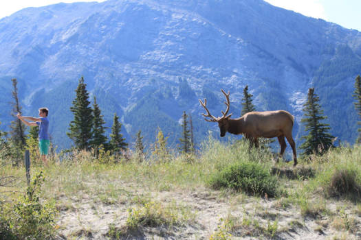 Jasper National Park - Brothers best selfie