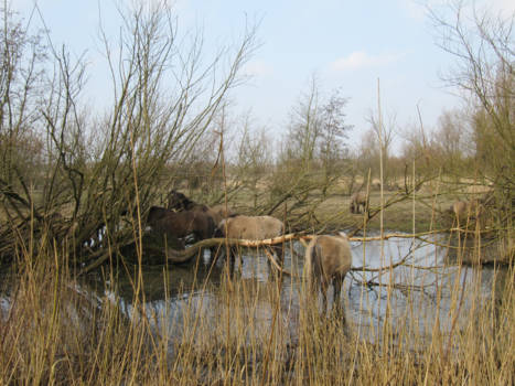 Canada - En de perfecte foto ga ik maken met GetawayTravel! Tot Later!