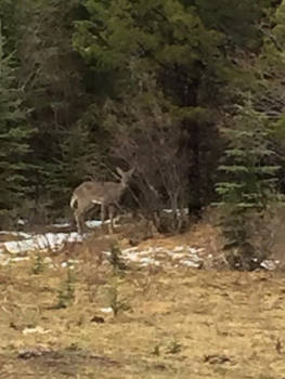 Canada - End of winter