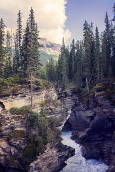 Jasper National Park - The river wild
