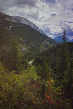 Jasper National Park - If you feel lost, just keep driving.
