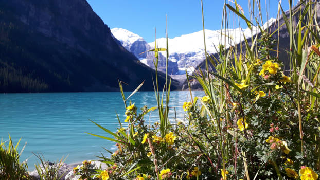 Banff National Park - Lake Louise ..simply beautiful