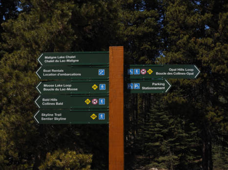 Jasper National Park - where to ?