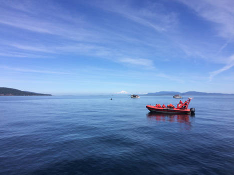 Canada - Walvisvaart