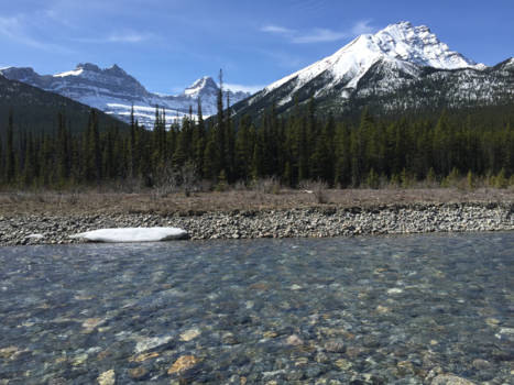 Canada - Ice Fields AB
