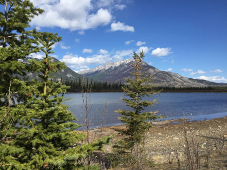 Canada - Jasper National Park