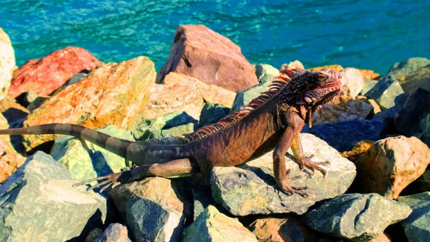 Niagara Falls - Prehistory