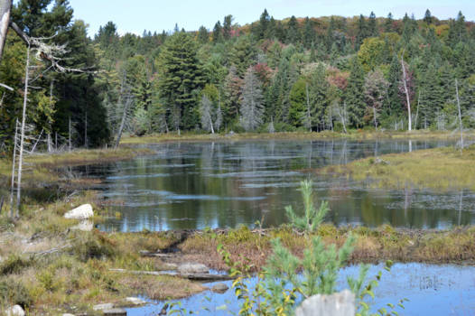 Algonquin provincial park - Ontspannen in overweldige natuur : RUST en STILTE