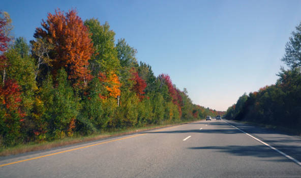 Canada - Indian Summer op de 417 Highway