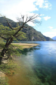 Canada - Los Alerces NP, Argentinië