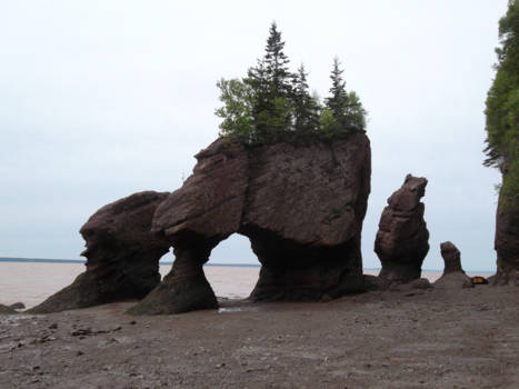 New Brunswick - Bay of Fundy, de grootste getijdenverschillen ter wereld