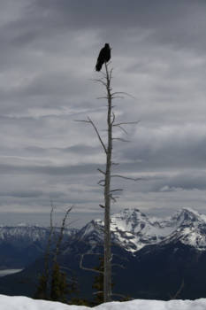 Canada - On top of the world