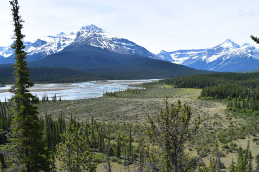 Jasper National Park - From peak to prairie