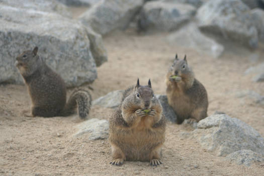 Verenigde Staten - Lunch Time