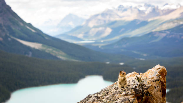 Banff National Park - Big and small