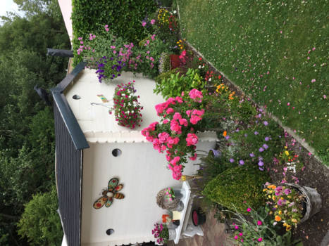 Vancouver - Bloemenpracht